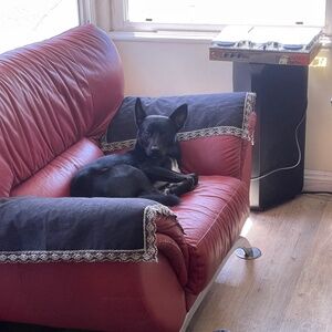 Meet your Posher, Josh